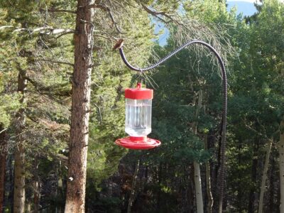 Lessons Learned From Nature Image